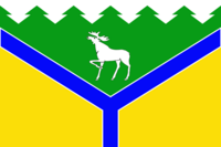 Flag of Ust-Ishimsky District (2013).png