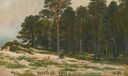 Pine Forest (Shishkin).jpg