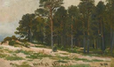 Pine Forest (Shishkin).jpg