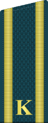 Russia-Airforce-OF-(D)-2010.svg
