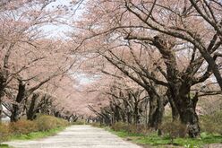 Tenshochi Park.jpg
