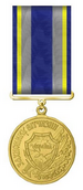 Ukraine-Defender of the Motherland Medal.PNG