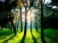 Захід сонця в Басівському парку.jpg