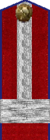 погон милиции 1947