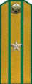 погоны 1946