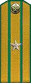 погоны 1946