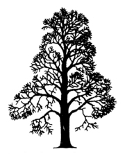 Castanea sativa Silhouette (oddsock).png