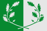 Флаг
