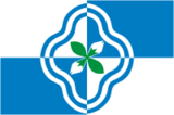 Флаг