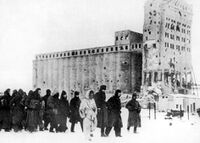 Сталинградта пленге кирген немец солдаттар. 1943 јыл кочкор ай