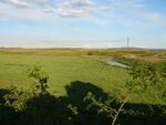 Greatham Creek meanders through Cowpen Marsh - geograph.org.uk - 497345.jpg