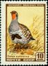 The Soviet Union 1957 CPA 1986 stamp (Grey partridge) (Green is missing).jpg