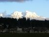 Arrowsmith from Port Alberni.JPG