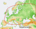 Distribution map Campanula latifolia.png