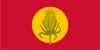 Flag of Vevchani Municipality, North Macedonia.png