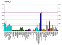 PBB GE HIF1A 200989 at fs.png