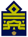 RA-Generale di squadra aerea.png