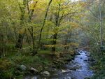 Rio muniellos.jpg