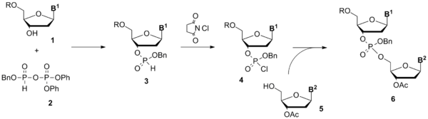 Todd's dinucleotide synthesis.png