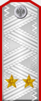 Казачий генерал (чин).png