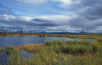 Озеро Няша. Кава-Челомджинский участок.JPG