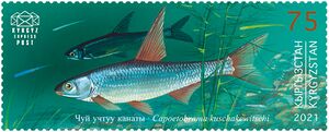 Capoetobrama kuschakewitschi 2021 stamp of Kyrgyzstan.jpg