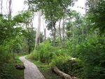 Dalby Söderskog nationalpark1.jpg