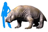Ischigualastia NT small 2.jpg