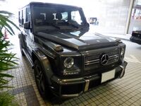 Mercedes-Benz G65 AMG (W463) front.JPG