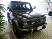 Mercedes-Benz G65 AMG (W463) front.JPG