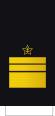 Russia-Navy-OF-7-Sleeve.svg