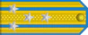 Senior Colonel rank insignia (North Korean police).png