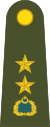 Turkey-army-OF-4.svg