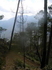 Approaching the peak of Pico Duarte.jpg
