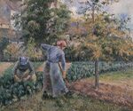 Camille Pissarro - Dans le potager à Pontoise - 1881.jpg