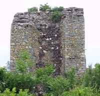 Castle Aluston.jpg