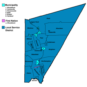 CoCarleton.png