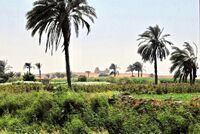 Faiyum Oasis by Zorbey Tunçer.jpg