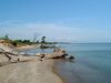 Illinois Beach State Park Lakefront.jpg