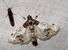 Leucinodes sp? (7171786060).jpg