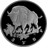 RR5109-0029R Зубр.png