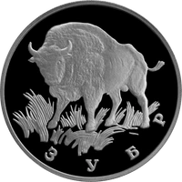 RR5109-0029R Зубр.png