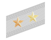 Rank insignia of generale di brigata con incarichi superiori of the Alpini.svg
