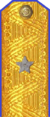 погоны 1943