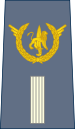 06-ROCongo Air Force-WO.svg
