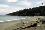 BeachWalking2.jpg