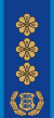 Estonia-Police-Politseikolonel.svg