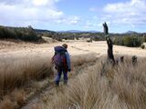 Lonehiker Tablelands New Zealand.jpg