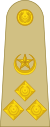 OF-6 Pakistan Army.svg