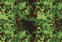 Polish Woodland Flecktarn.png